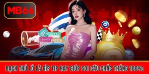 bach thu lo la gi