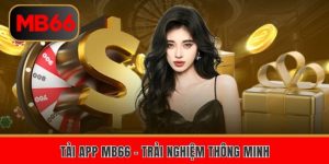 bao hiem cuoc mb66
