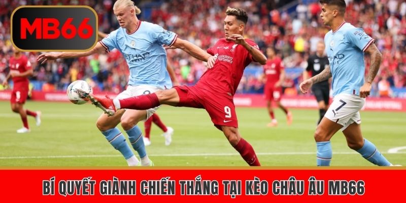 Bí quyết giành chiến thắng tại kèo Châu Âu MB66