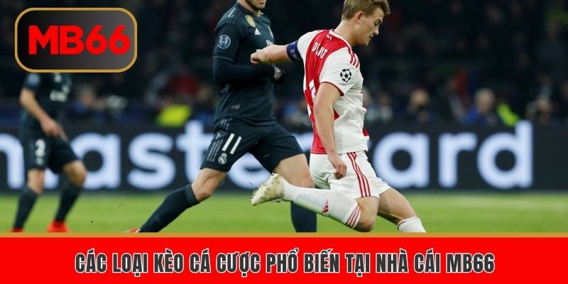 Các loại kèo cá cược phổ biến tại nhà cái MB66