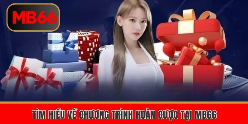 Cập nhật thông tin chương trình hoàn trả cược MB66