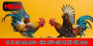 da ga cua dao