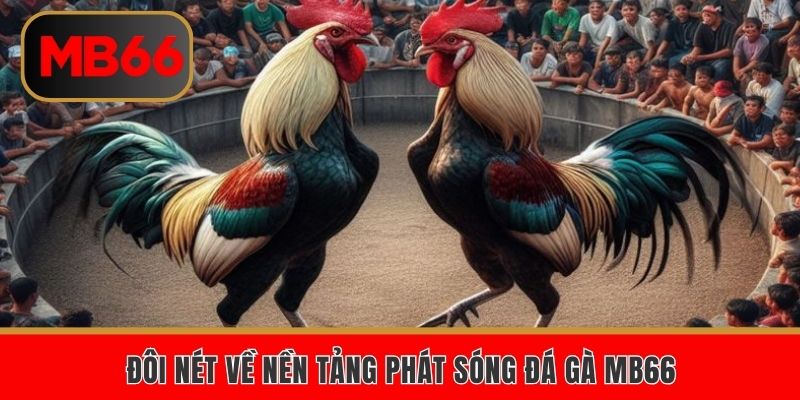 Đôi nét về nền tảng phát sóng đá gà MB66 