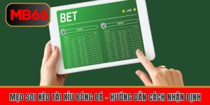 meo soi keo tai xiu bong da