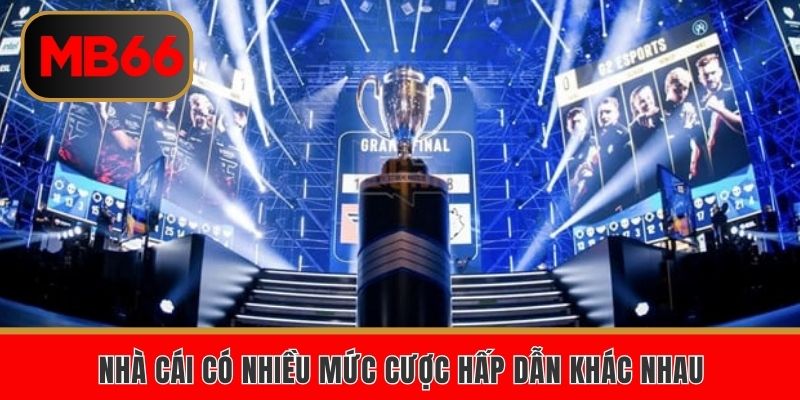 Cá Cược Esports – Sảnh Thể Thao Điện Tử Hiện Đại, Hấp Dẫn 4 Nhà cái có nhiều mức cược hấp dẫn khác nhau