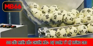 soi cau mien bac