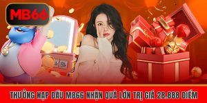 thuong nap dau mb66